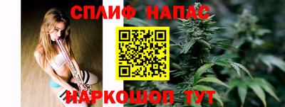 apvp Краснодар