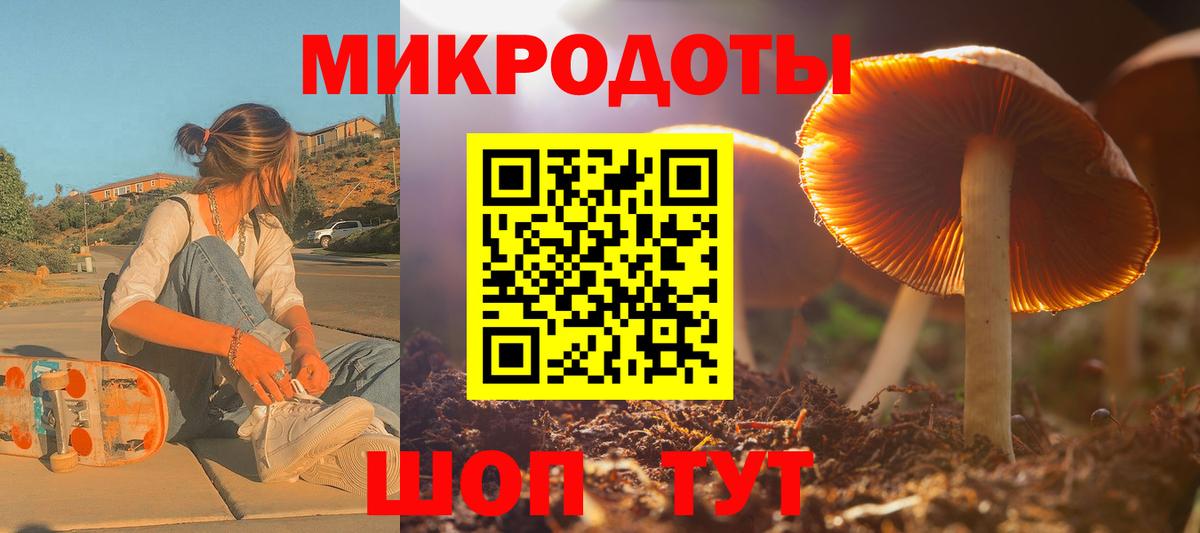 Галлюциногенные грибы мицелий Златоуст